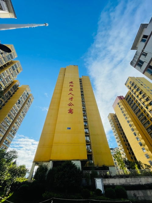 南平建陽區(qū) 人才引擎 驅(qū)動(dòng)高質(zhì)量發(fā)展