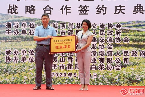 漳墩小白茶牽手香江茶業 共話白茶發展之路