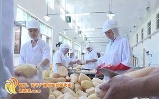 南平市出臺(tái)新政策 最高獎(jiǎng)勵(lì)500萬元 獎(jiǎng)補(bǔ)對(duì)象是