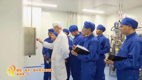 念好 五字經 ,南平引來 金鳳凰