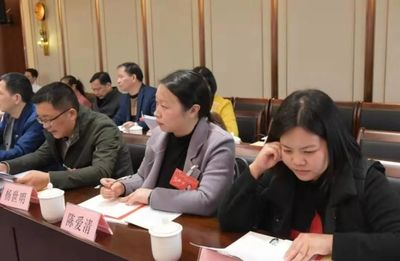 南平市五屆人大五次會議上,延平團代表提了哪些建議?