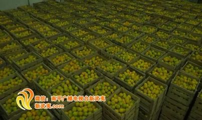 我市全力打響"武夷品牌" 〉助力南平高質(zhì)量發(fā)展!